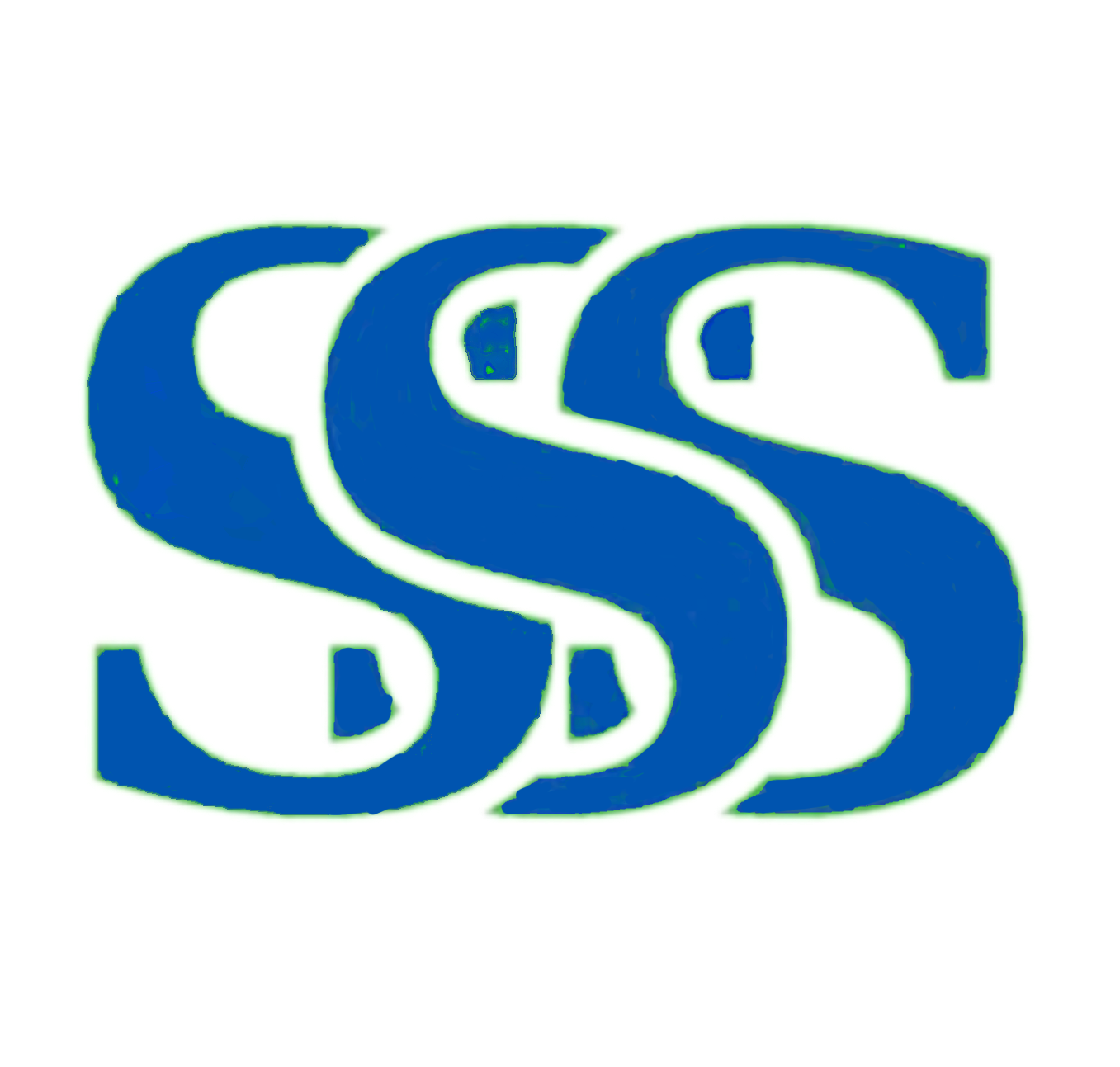 Triple S Safety Services